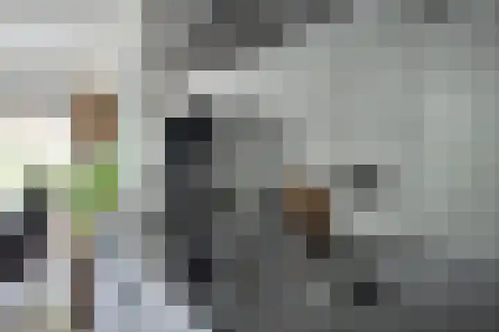 Kuifeend 19 Emmen thumbnail 8