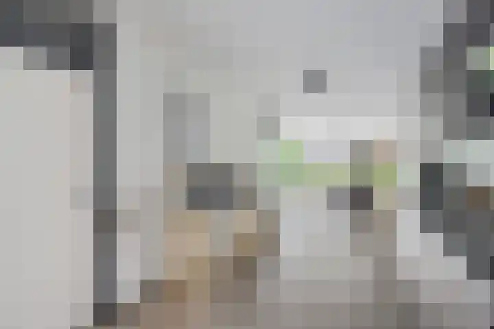 Kuifeend 19 Emmen thumbnail 9