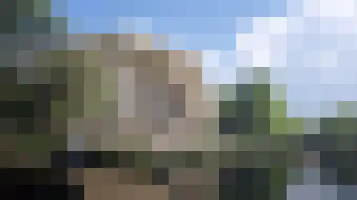 Kuifeend 21 Pijnacker