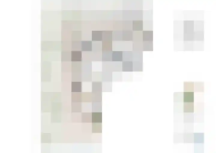 Kuifeend 21 Pijnacker thumbnail 5