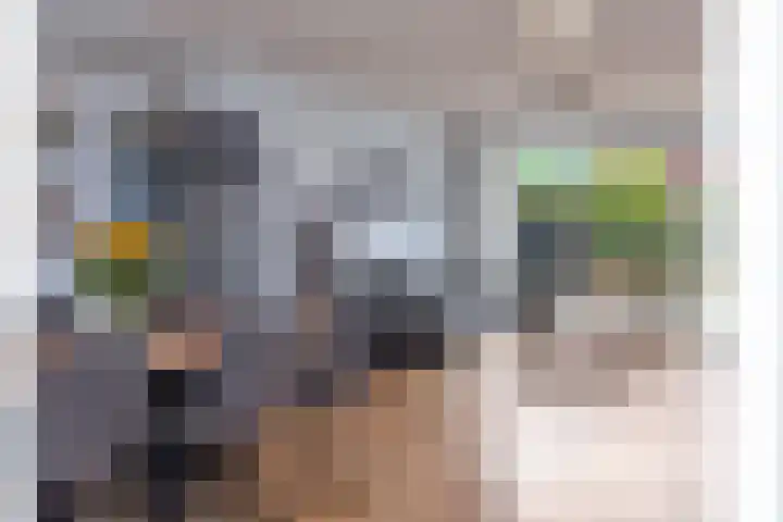 Kuifeend 23 Hoogkarspel thumbnail 10