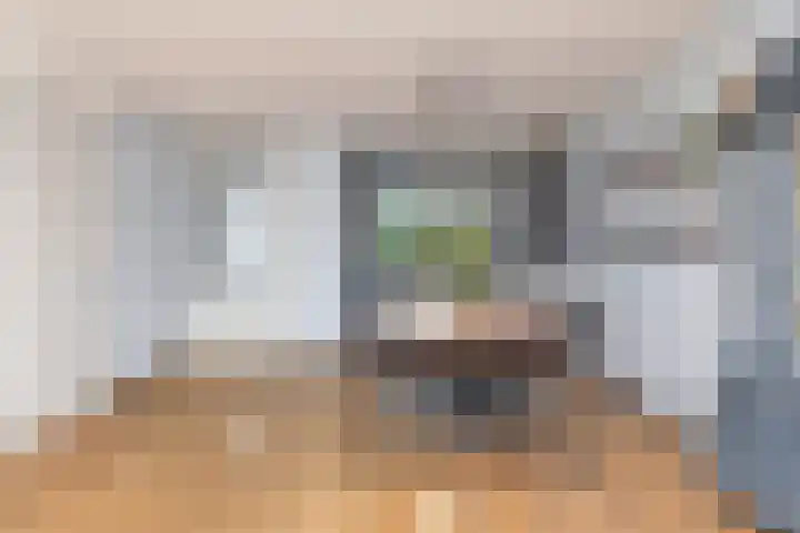 Kuifeend 23 Hoogkarspel thumbnail 13