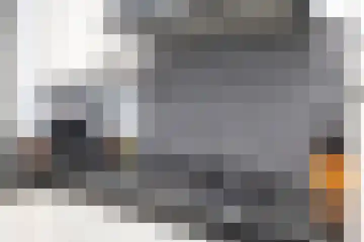 Kuifeend 23 Hoogkarspel thumbnail 16