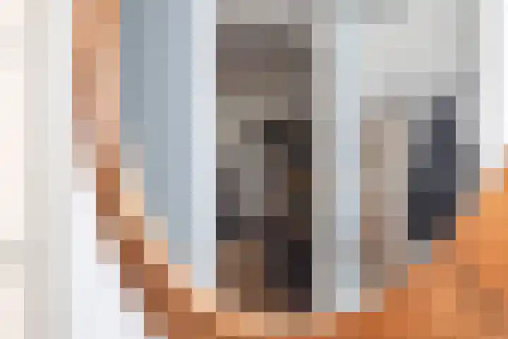 Kuifeend 23 Hoogkarspel thumbnail 18