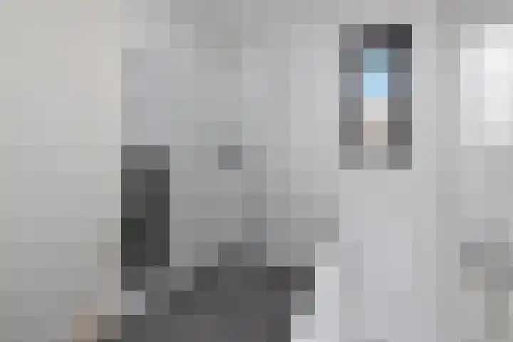 Kuifeend 23 Hoogkarspel thumbnail 29