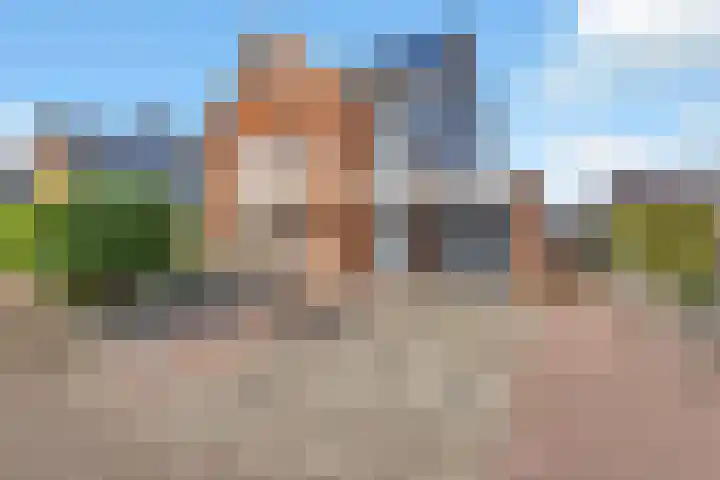 Kuifeend 23 Hoogkarspel foto 3