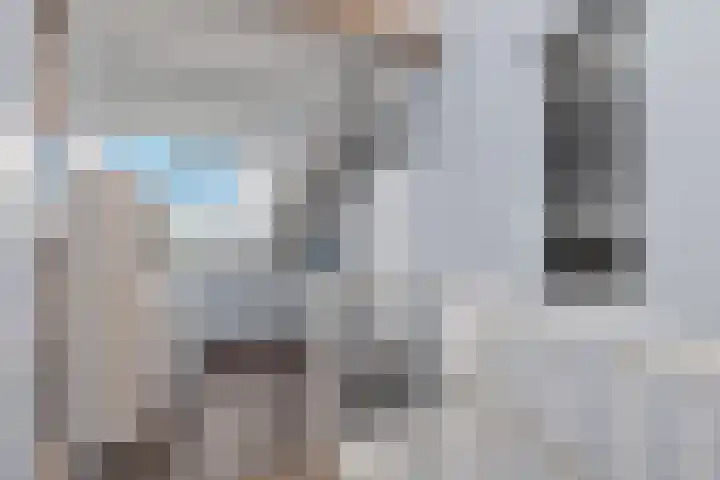 Kuifeend 23 Hoogkarspel thumbnail 31