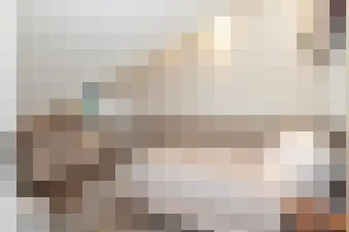 Kuifeend 23 Hoogkarspel thumbnail 33