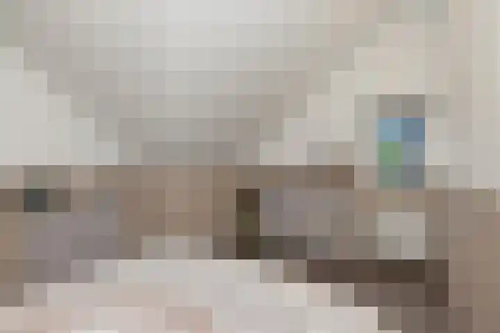 Kuifeend 23 Hoogkarspel thumbnail 34
