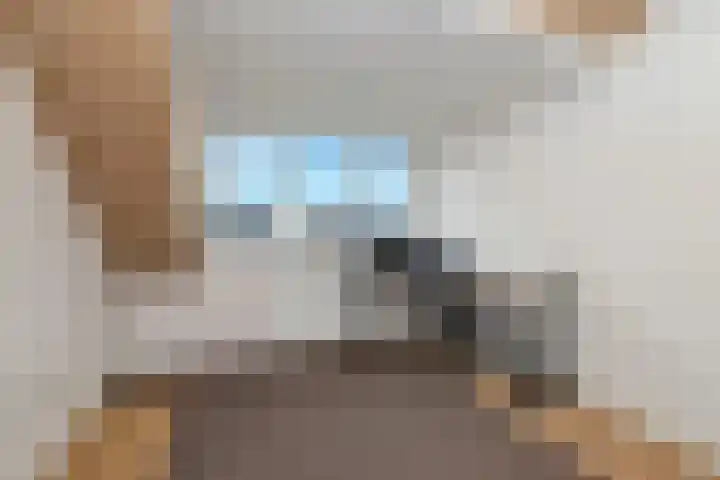 Kuifeend 23 Hoogkarspel thumbnail 35