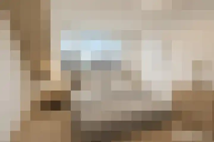 Kuifeend 23 Hoogkarspel thumbnail 36