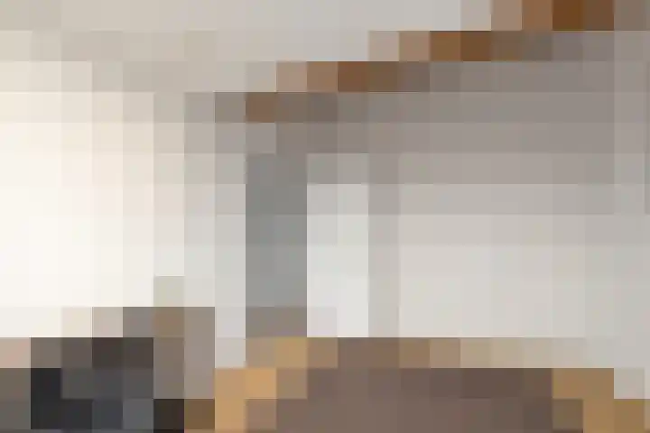 Kuifeend 23 Hoogkarspel thumbnail 37