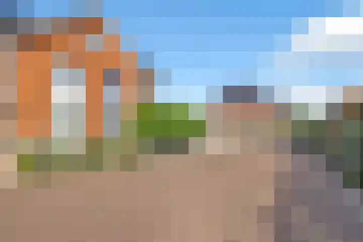 Kuifeend 23 Hoogkarspel thumbnail 39