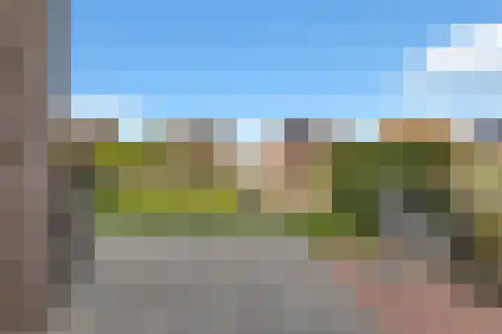Kuifeend 23 Hoogkarspel thumbnail 40