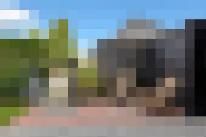 Kuifeend 23 Hoogkarspel thumbnail 41