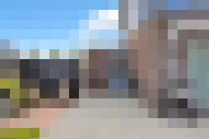 Kuifeend 23 Hoogkarspel thumbnail 42
