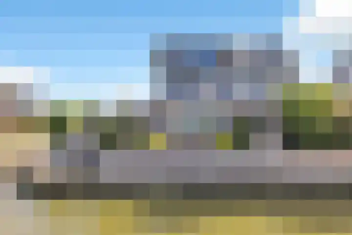 Kuifeend 23 Hoogkarspel thumbnail 45