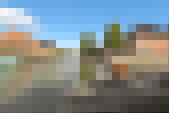 Kuifeend 23 Hoogkarspel thumbnail 46