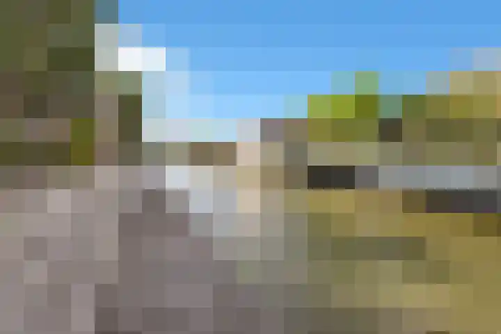 Kuifeend 23 Hoogkarspel thumbnail 47