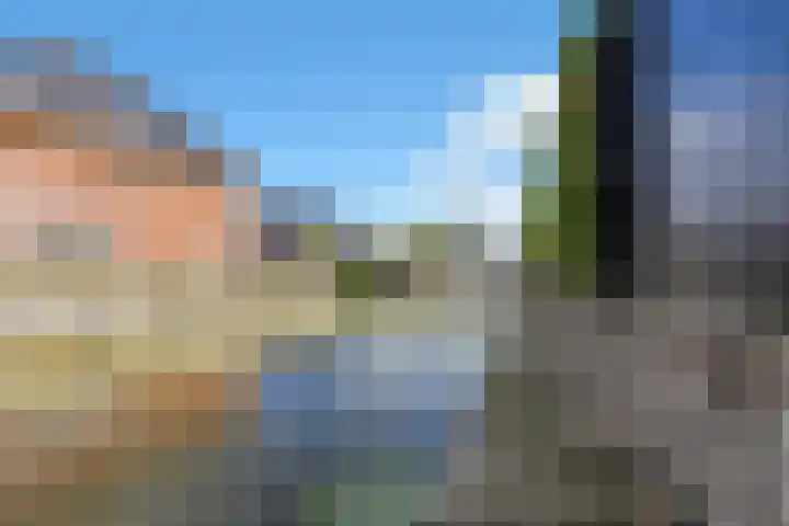Kuifeend 23 Hoogkarspel thumbnail 48