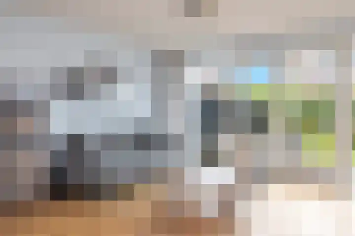 Kuifeend 23 Hoogkarspel thumbnail 7