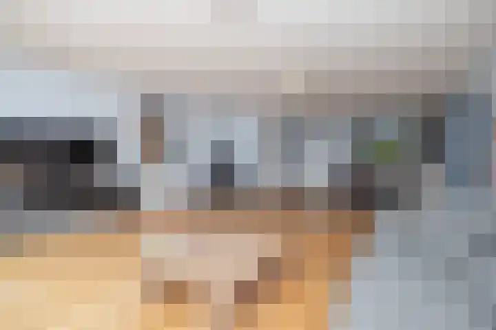 Kuifeend 23 Hoogkarspel thumbnail 8