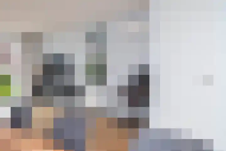 Kuifeend 23 Hoogkarspel thumbnail 9
