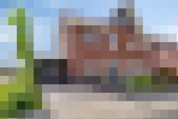 Kuifeend 40 Bedum
