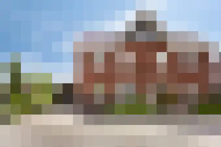 Kuifeend 40 Bedum thumbnail 11