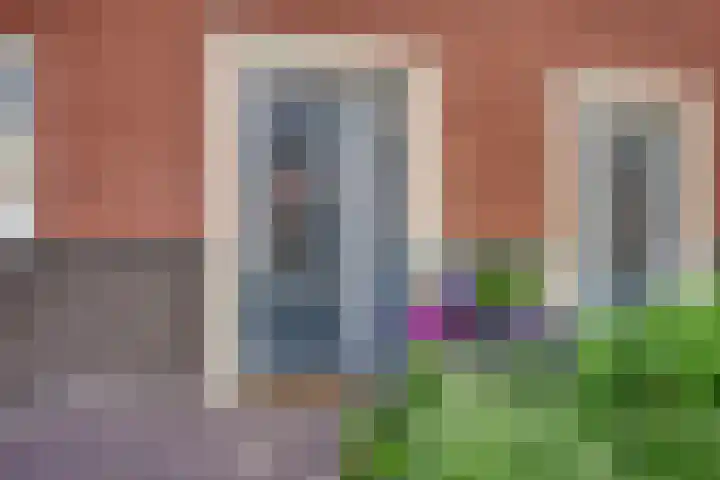 Kuifeend 40 Bedum thumbnail 12