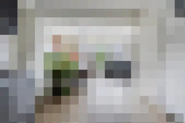 Kuifeend 40 Bedum thumbnail 16