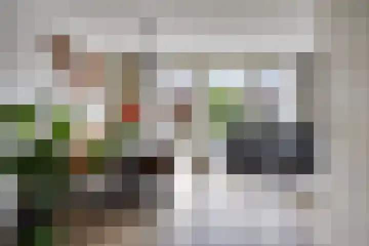 Kuifeend 40 Bedum thumbnail 17