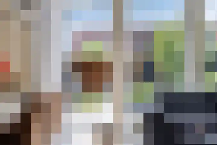 Kuifeend 40 Bedum thumbnail 20