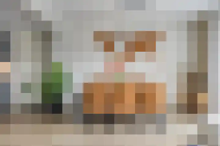 Kuifeend 40 Bedum thumbnail 23