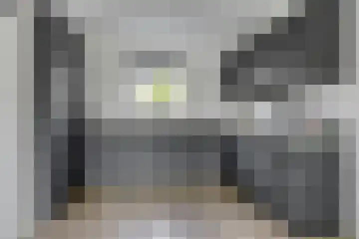 Kuifeend 40 Bedum thumbnail 25
