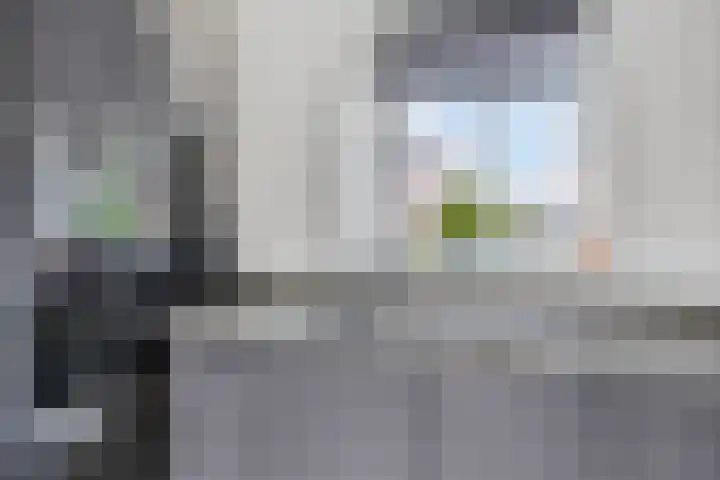 Kuifeend 40 Bedum thumbnail 27