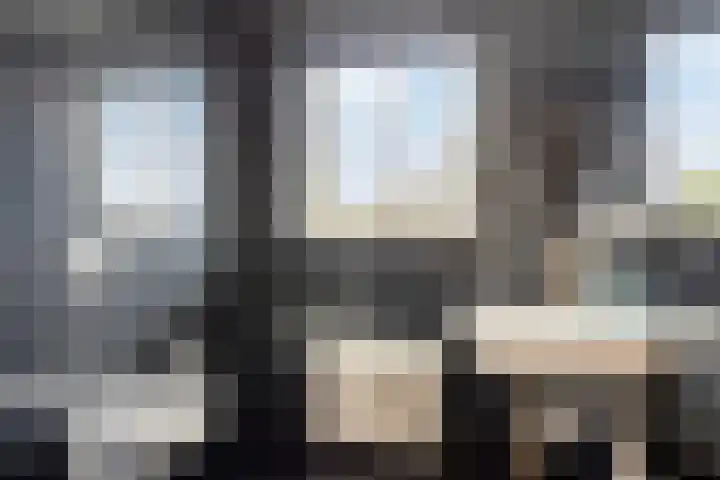 Kuifeend 40 Bedum thumbnail 35