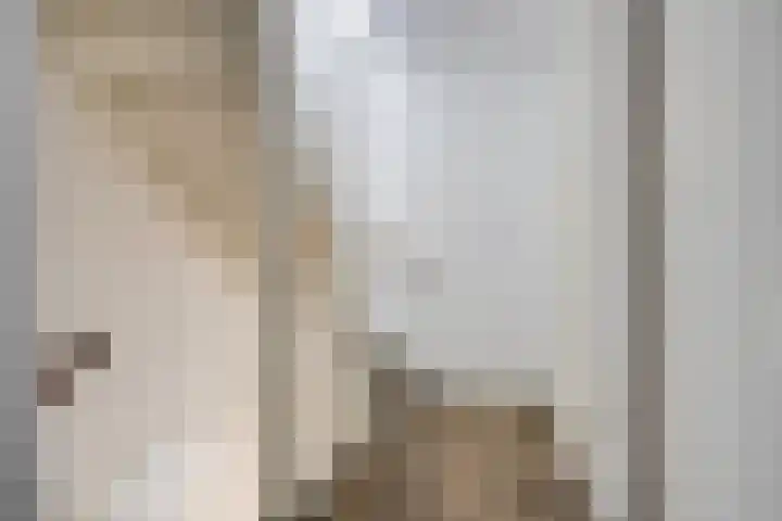 Kuifeend 40 Bedum thumbnail 37