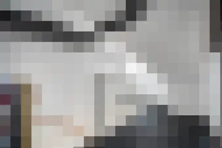 Kuifeend 40 Bedum thumbnail 38