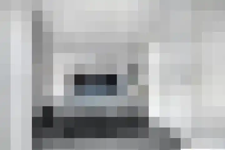 Kuifeend 40 Bedum thumbnail 39