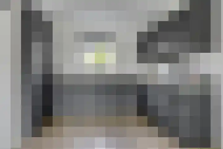 Kuifeend 40 Bedum thumbnail 4