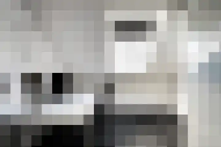 Kuifeend 40 Bedum thumbnail 40