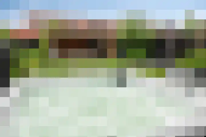 Kuifeend 40 Bedum thumbnail 43