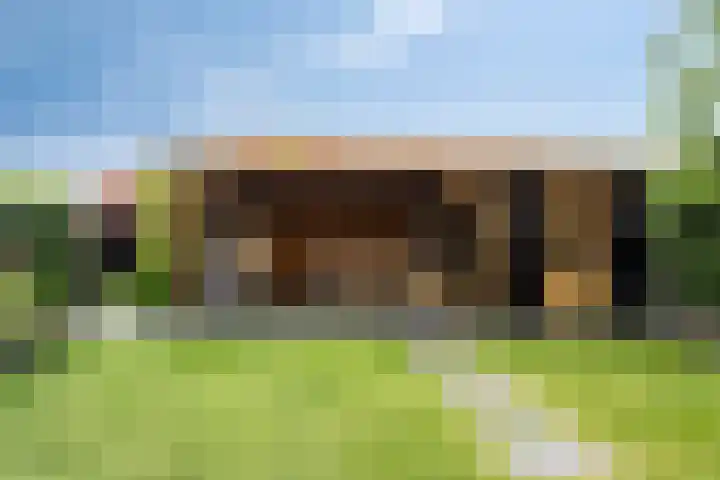 Kuifeend 40 Bedum thumbnail 44