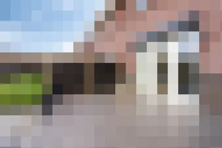 Kuifeend 40 Bedum thumbnail 47