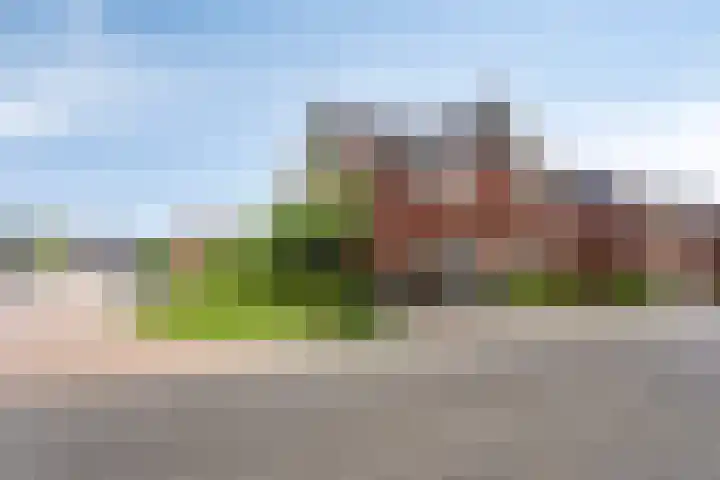 Kuifeend 40 Bedum thumbnail 48