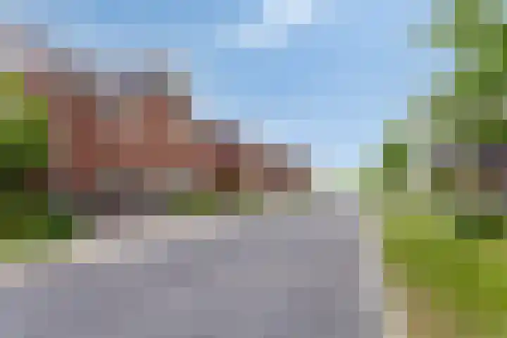 Kuifeend 40 Bedum thumbnail 49