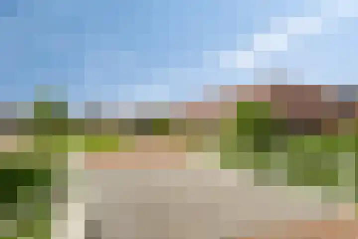 Kuifeend 40 Bedum thumbnail 52