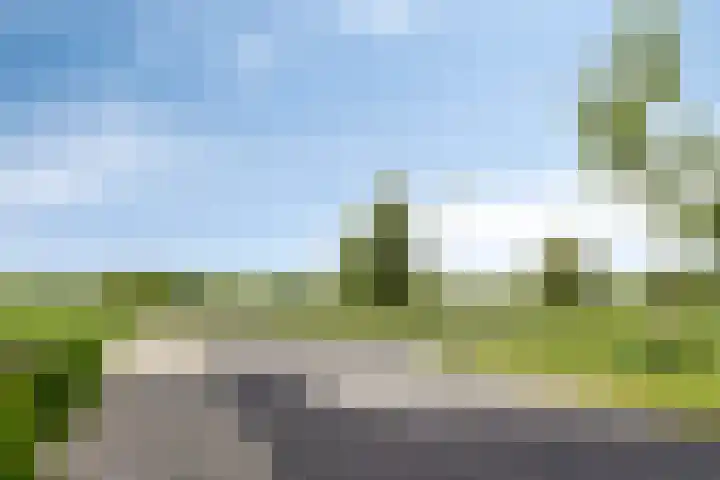 Kuifeend 40 Bedum thumbnail 57