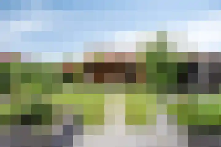 Kuifeend 40 Bedum thumbnail 6